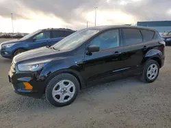 Salvage cars for sale at Nisku, AB auction: 2018 Ford Escape S