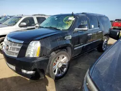 Cadillac Vehiculos salvage en venta: 2013 Cadillac Escalade ESV Platinum