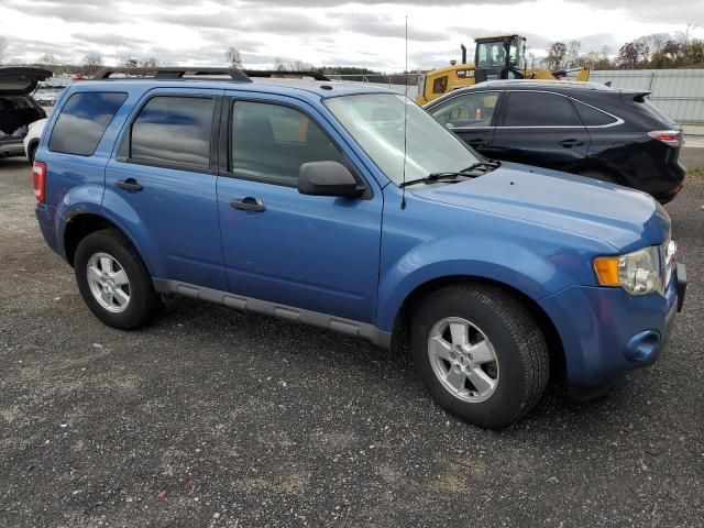 2009 Ford Escape XLT