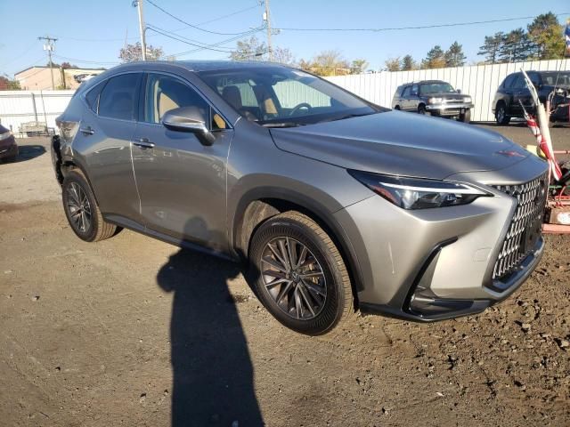 2024 Lexus NX 350 Base