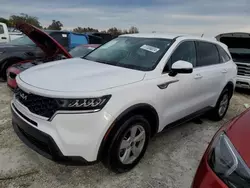 Salvage cars for sale at Arcadia, FL auction: 2023 KIA Sorento LX