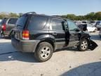 2007 Ford Escape XLT