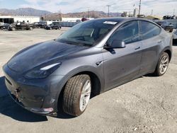 2023 Tesla Model Y en venta en Sun Valley, CA