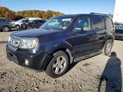 Salvage cars for sale at Windsor, NJ auction: 2009 Honda Pilot EXL