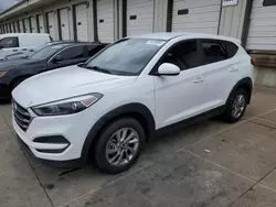 Salvage cars for sale at Louisville, KY auction: 2018 Hyundai Tucson SE