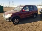 2004 Honda CR-V EX