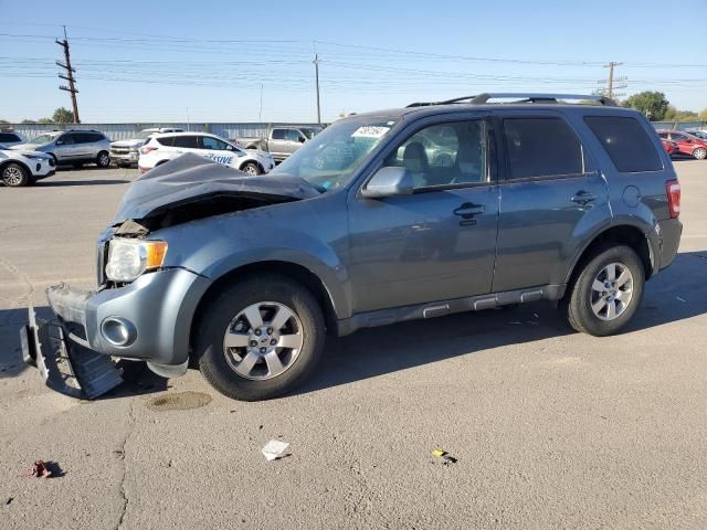 2010 Ford Escape Limited