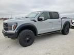 2024 Ford F150 Raptor