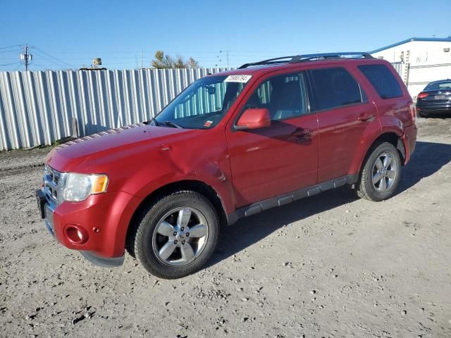 2011 Ford Escape Limited