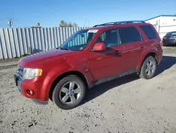 Salvage cars for sale at Albany, NY auction: 2011 Ford Escape Limited