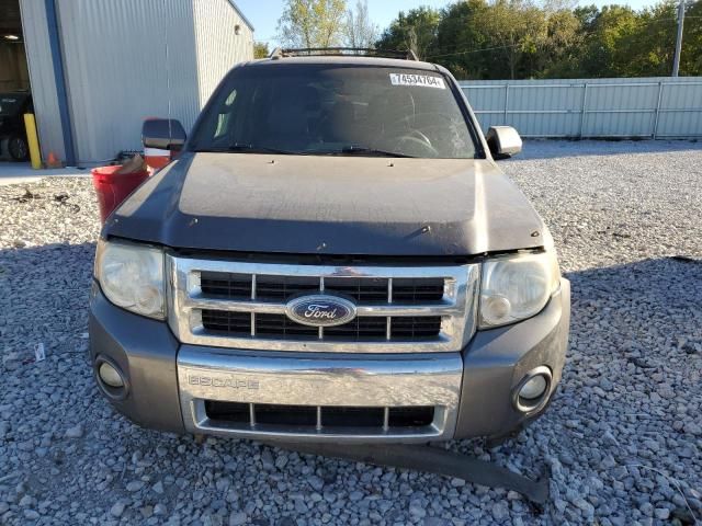 2010 Ford Escape Limited