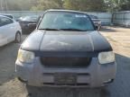 2002 Ford Escape XLT