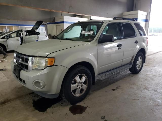 2009 Ford Escape XLT