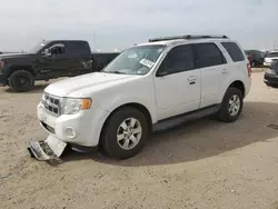 Ford Vehiculos salvage en venta: 2009 Ford Escape Limited