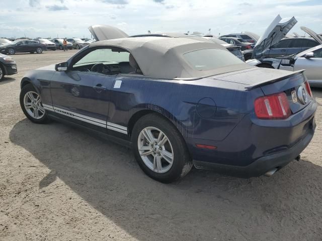 2011 Ford Mustang