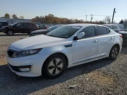 KIA salvage cars for sale: 2013 KIA Optima Hybrid