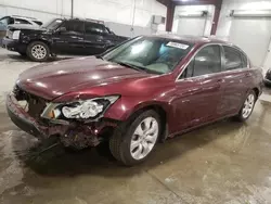 Salvage cars for sale at Avon, MN auction: 2009 Honda Accord EXL