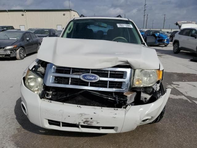 2009 Ford Escape XLS