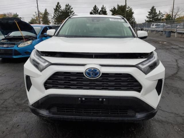 2023 Toyota Rav4 LE