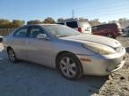 2006 Lexus ES 330