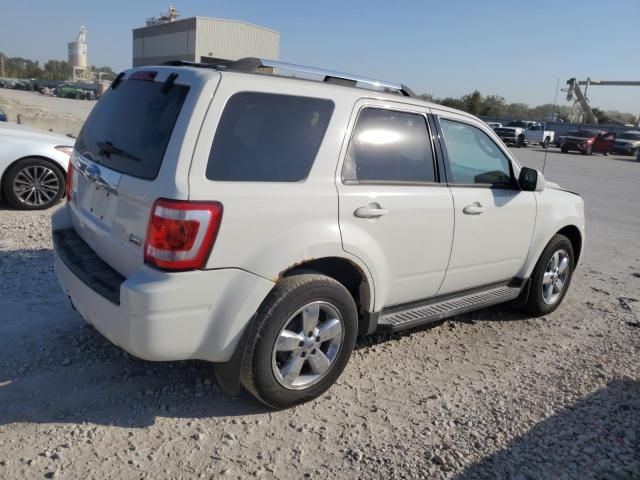 2010 Ford Escape Limited