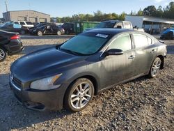 Salvage cars for sale from Copart Memphis, TN: 2011 Nissan Maxima S