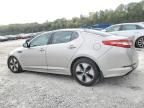 2013 KIA Optima Hybrid