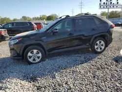 Salvage Cars with No Bids Yet For Sale at auction: 2020 Toyota Rav4 XLE