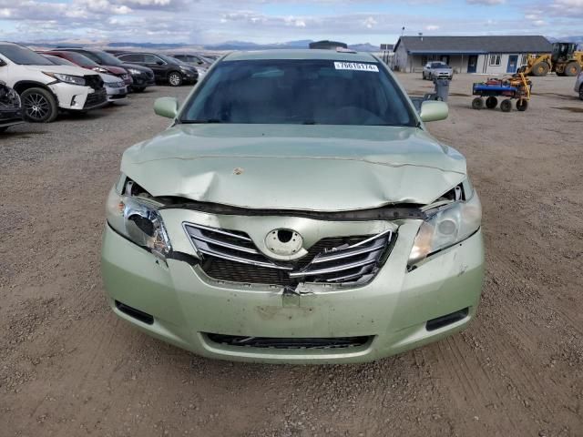 2009 Toyota Camry Hybrid