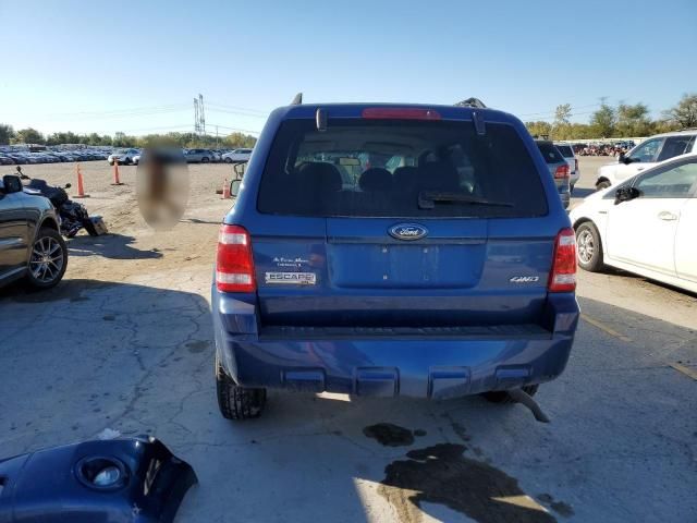 2008 Ford Escape XLT