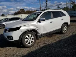 Vehiculos salvage en venta de Copart Hillsborough, NJ: 2011 KIA Sorento Base