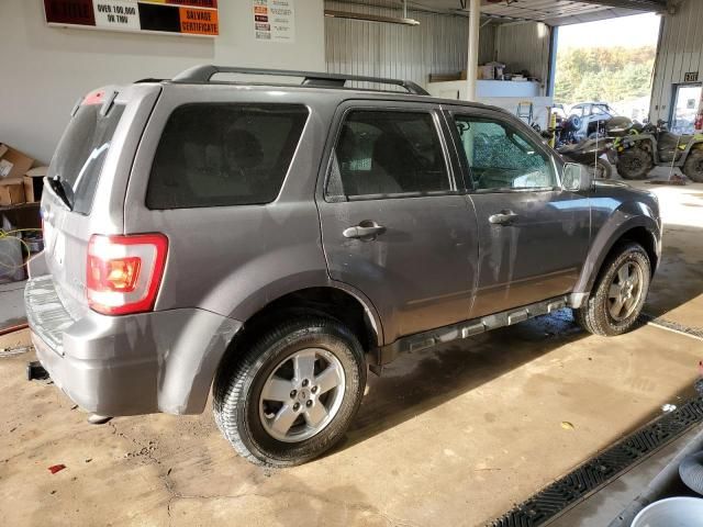 2009 Ford Escape XLT