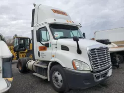 Salvage trucks for sale at Marlboro, NY auction: 2014 Freightliner Cascadia 113