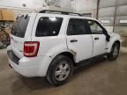 2008 Ford Escape XLT