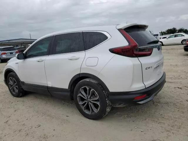 2022 Honda CR-V EXL