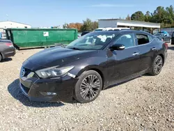 Salvage cars for sale from Copart Memphis, TN: 2017 Nissan Maxima 3.5S