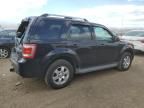 2010 Ford Escape Limited