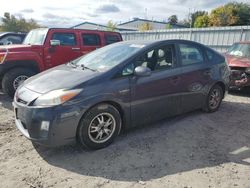 Toyota salvage cars for sale: 2010 Toyota Prius