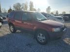 2004 Ford Escape XLT