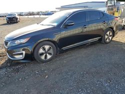 Salvage cars for sale at San Diego, CA auction: 2013 KIA Optima Hybrid