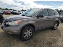 Honda salvage cars for sale: 2011 Honda CR-V SE