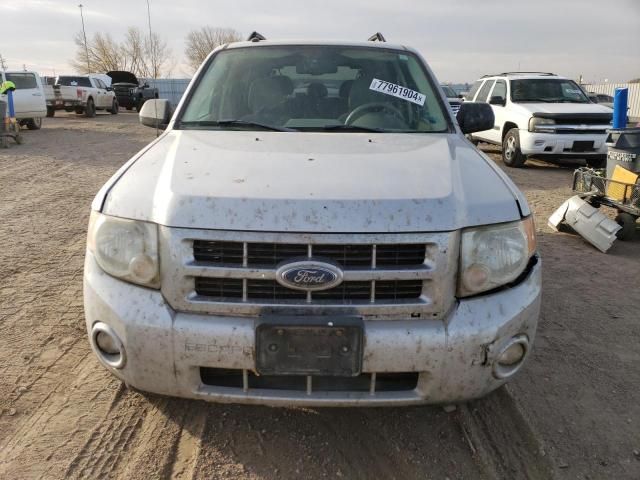 2008 Ford Escape XLT