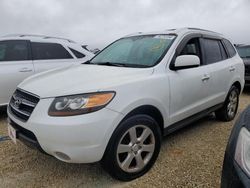 Carros dañados por inundaciones a la venta en subasta: 2007 Hyundai Santa FE SE