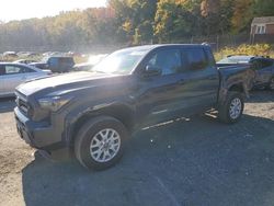 Toyota salvage cars for sale: 2024 Toyota Tacoma Double Cab