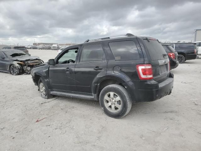 2009 Ford Escape Limited