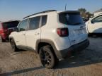 2023 Jeep Renegade Altitude