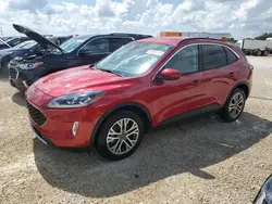 Ford salvage cars for sale: 2021 Ford Escape SEL