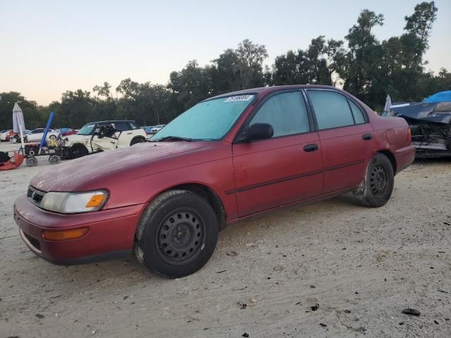 1995 Toyota Corolla LE