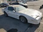 1989 Pontiac Firebird