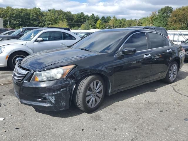 2011 Honda Accord EXL